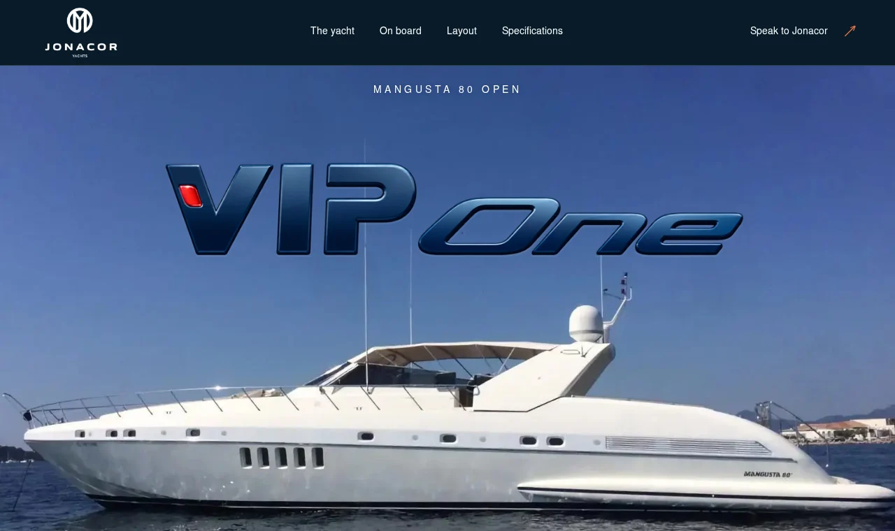 EL VIP ONE website presentation